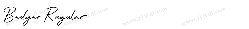 Bedger Regular字体转换